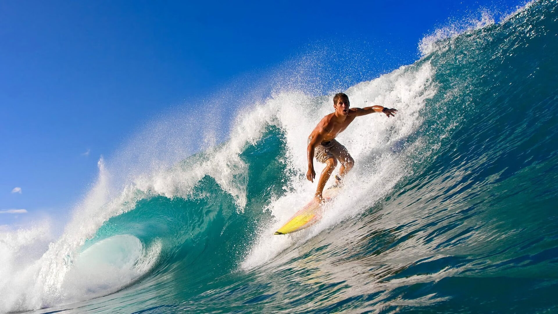 德甲比赛精彩，球迷留言支持，德甲名场面